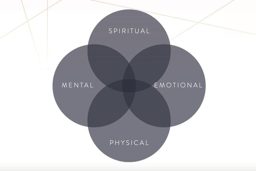 Holistic mental emotional physical spiritual levels image.