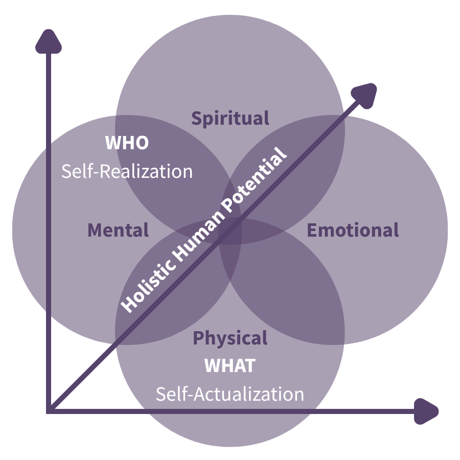 mental emotional physical spiritual with holistic human potential image